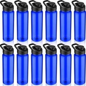 12 Pack Plastic Water Bottles 24 oz Blue Clear Water Bottles Bulk Reusable Sports Water Bottles with Spill Proof Lids for Gym Sports Home Office School