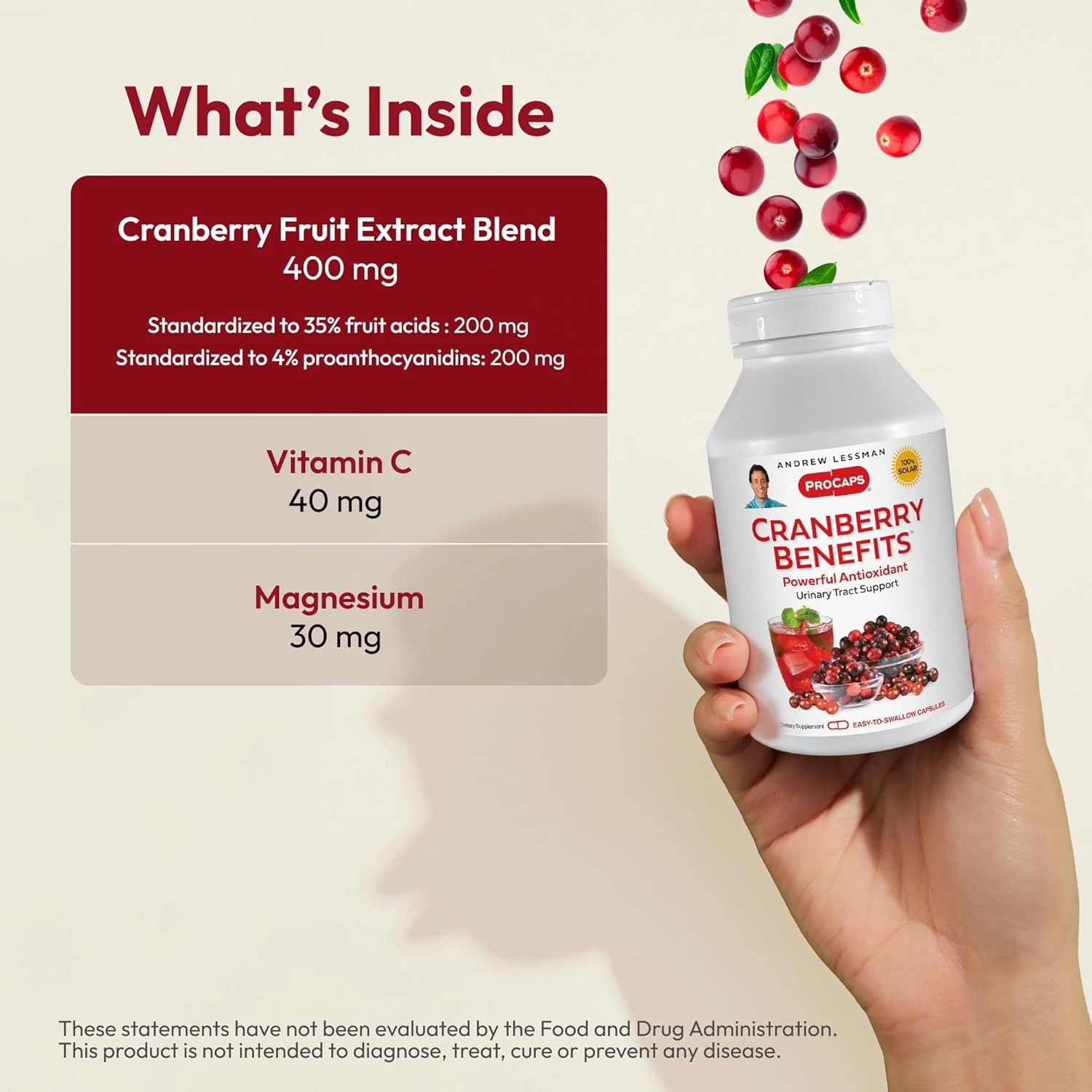 ANDREW LESSMAN Cranberry Benefits 240 Capsules - Supports Bladder, Kidney and Urinary Tract Health. High Potency Standardized Extracts of Cranberry Fruit, Small Easy to Swallow Capsules