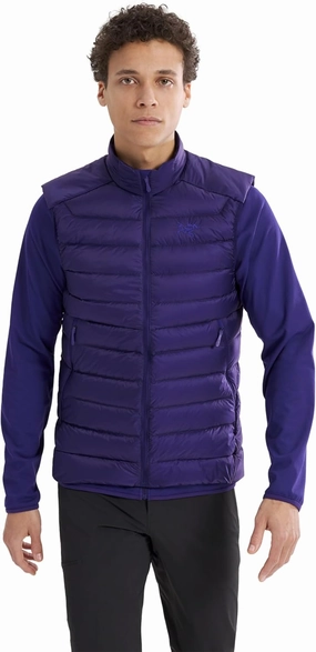 Arc'teryx Men's Cerium Vest