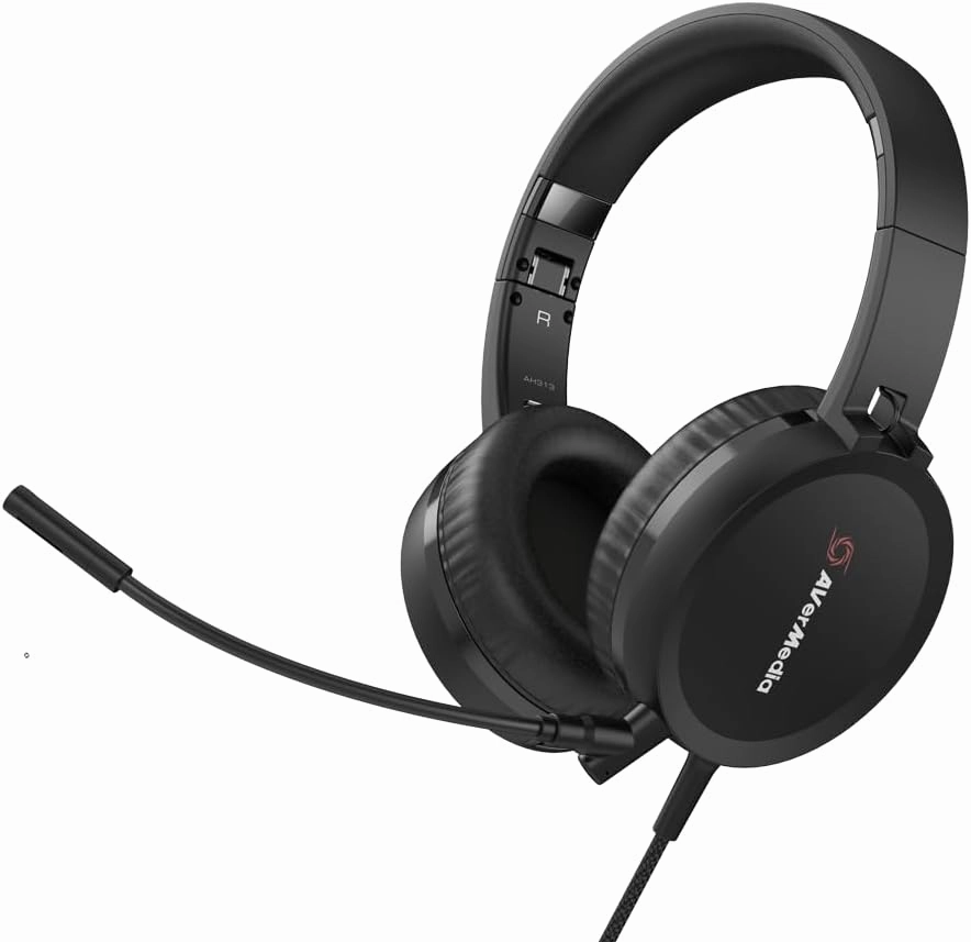 AVerMedia AH313 USB Headset with Detachable Omnidirectional Microphone, USB-A, Compatible with Zoom, Skype, Teams, and More for Working, Gaming, and Learning