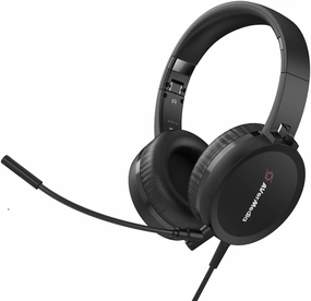 AVerMedia AH313 USB Headset with Detachable Omnidirectional Microphone, USB-A, Compatible with Zoom, Skype, Teams, and More for Working, Gaming, and Learning