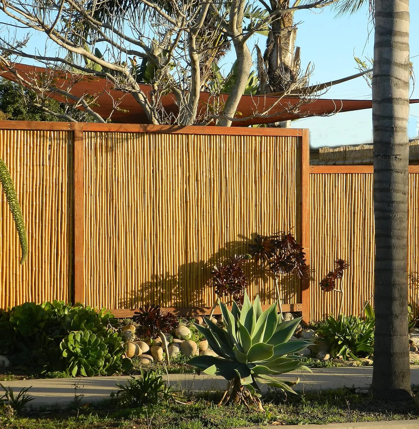Backyard X-Scapes Natural Bamboo Fencing Decorative Rolled Fence Panel 0.75 in D x 3 ft H x 8 ft L