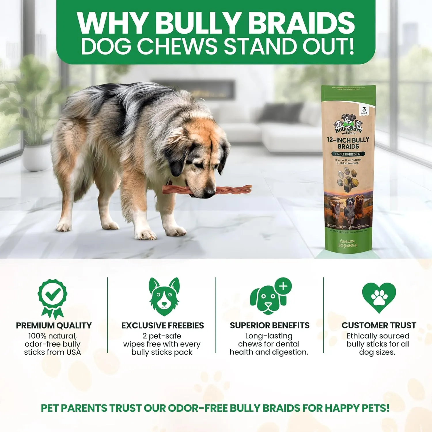 Bully Bark 12” Bully Braid for Small & Medium Dogs – 100% Natural, Grass-Fed Beef Chews, 5 Count, Dog Chew Sticks – Fully Digestible, Rawhide - Free Treats