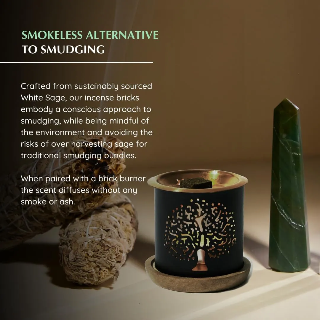 California White Sage Incense Bricks (2 x 9 Bricks) & Tree of Life Exotic Burner by Aromafume | Made with Salvia Apiana(White Sage) Extracts | Ideal for Positivity & Cleansing | Low-Smoke & Non-Toxic