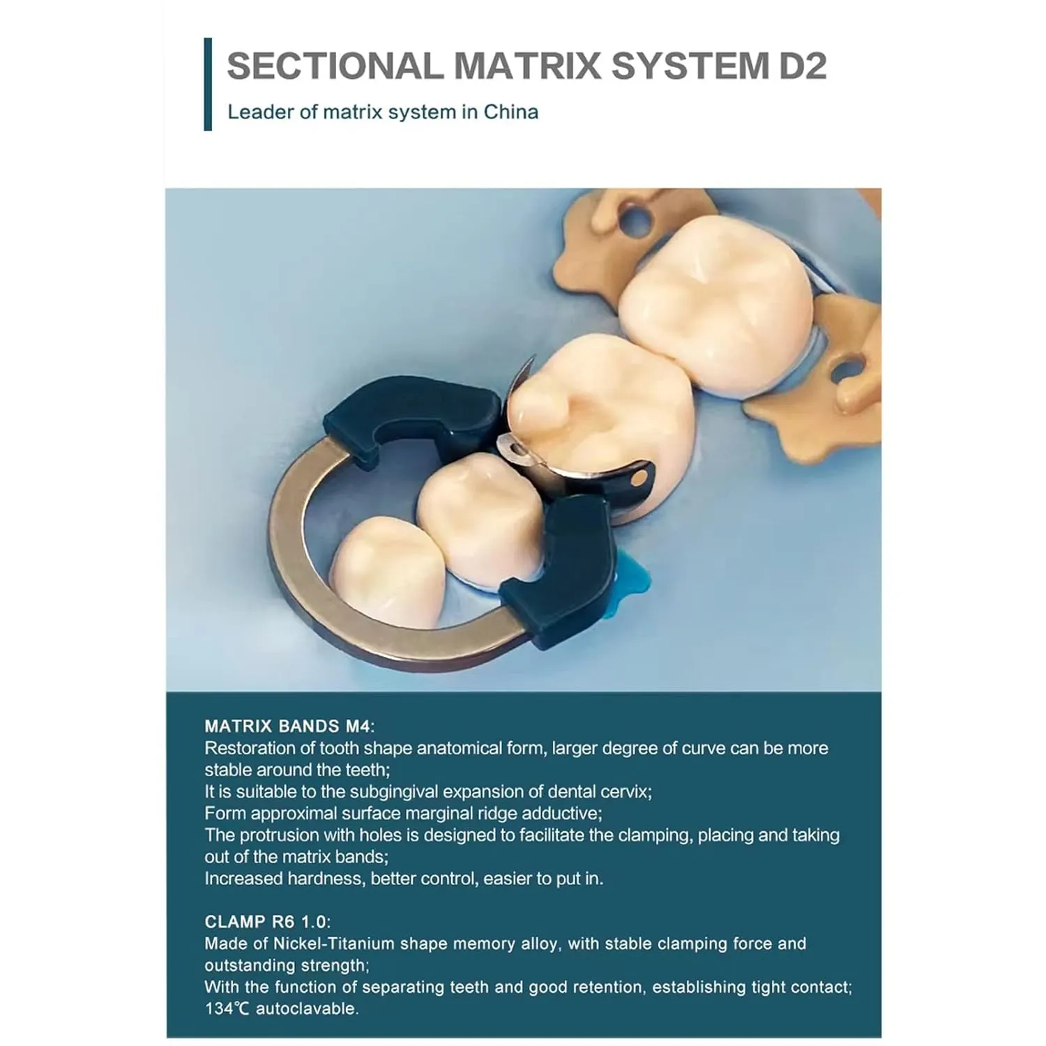 Dental Sectional Matrix Ring Clamp Spring Clip, Autoclavable Nickel Titanium Orthodontic Clamp Rings, Contoured Matrices System for Pre- and Post-Molars. (R6 Blue)