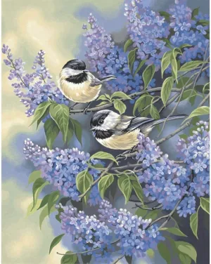 Dimensions Chickadees and Lilacs Paint by Numbers for Adults, 11'' W x 14'' L