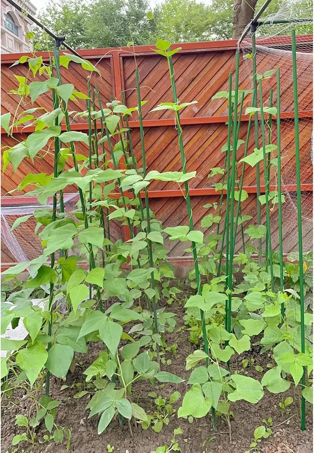 G-LEAF Sturdy Metal Garden Stakes 5 ft Plastic Coated Steel Tube Plant Sticks for Tomato,Cucumber,Bean,Tree,Pack of 50