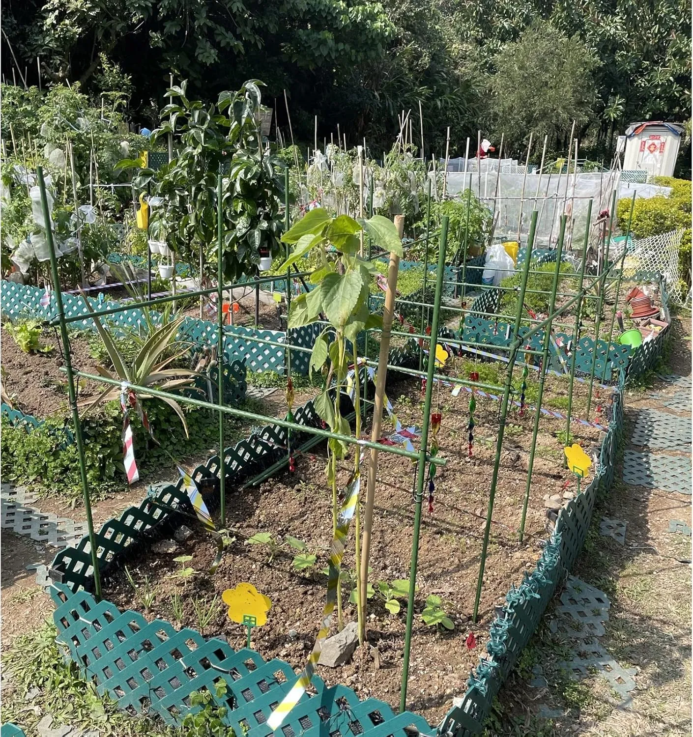 G-LEAF Sturdy Metal Garden Stakes 5 ft Plastic Coated Steel Tube Plant Sticks for Tomato,Cucumber,Bean,Tree,Pack of 50