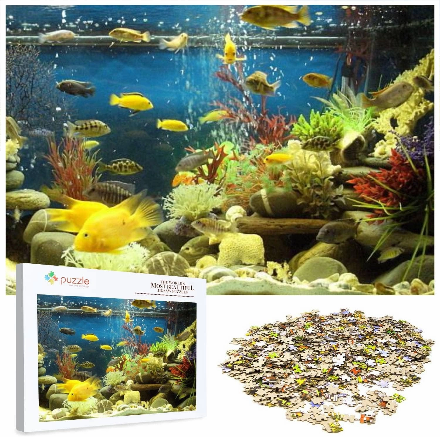 Image of Marine Effect Tropical Aquarium with Malawi Cichlid Fish 1000 Piece Jigsaw Puzzle Game - Colorful Large Puzzles Artwork for Adults Teens Puzzle Game Toy Gift
