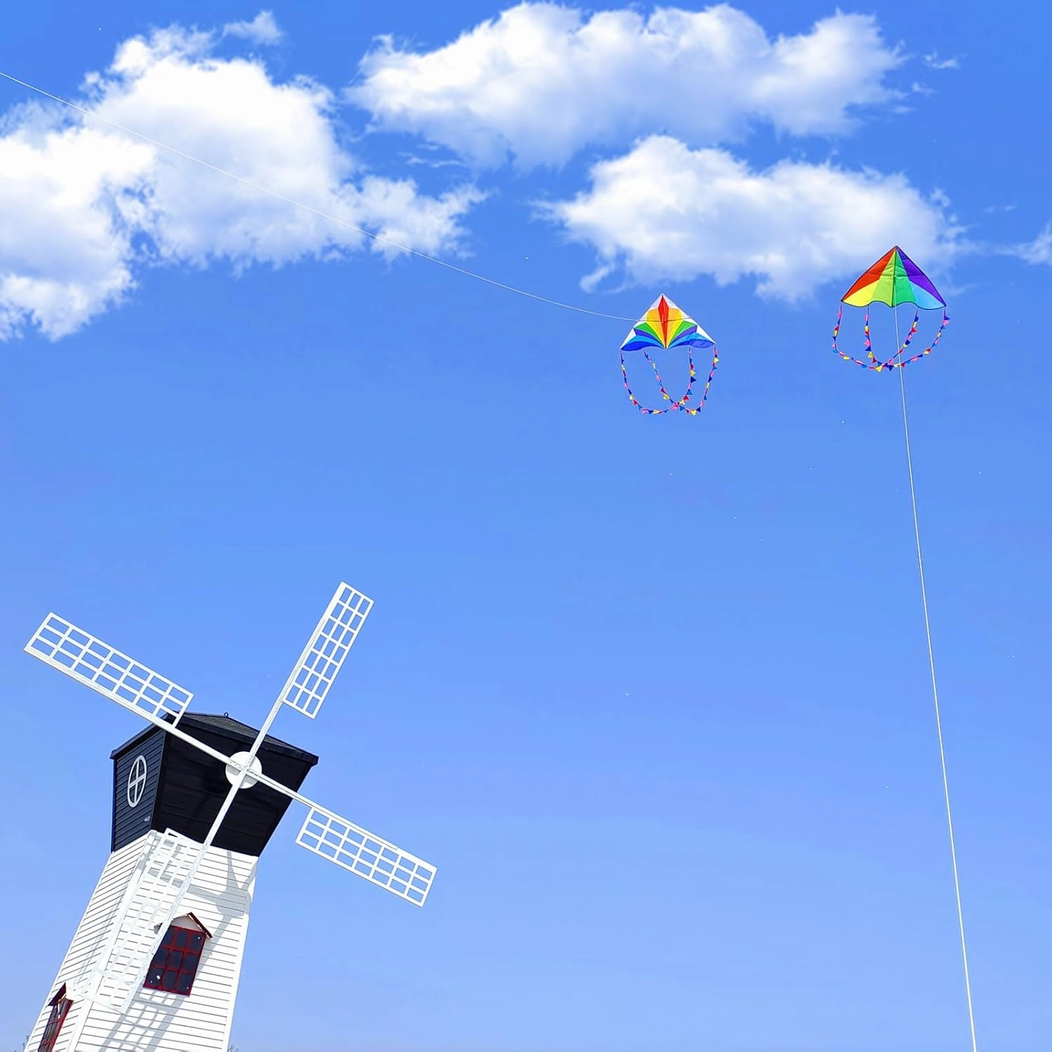 Large Rainbow Delta Kite for Kids & Adults,Single Line Beach Kite for Kids Ages 4-8 & 8-12,Easy to Fly for Toddlers and Beginners.
