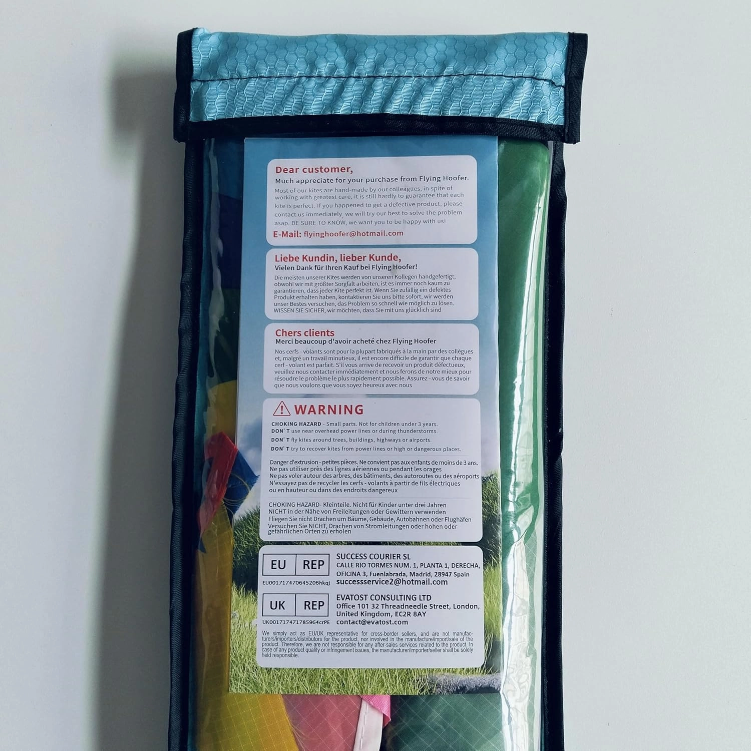 Large Rainbow Delta Kite for Kids & Adults,Single Line Beach Kite for Kids Ages 4-8 & 8-12,Easy to Fly for Toddlers and Beginners.