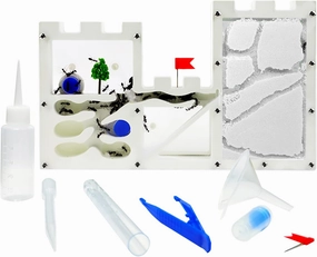 Large Sand Ant Farm Castle,Ant Habitat Ecosystem to Study Ant Colony Behavior Science Educational Kit for Kids