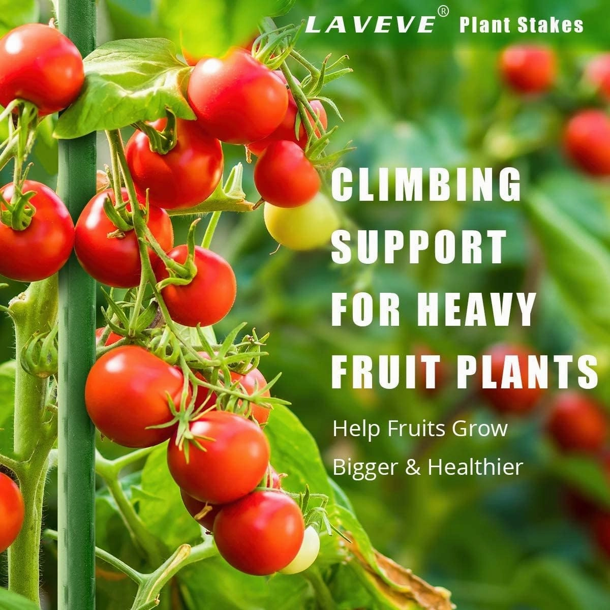 LAVEVE Garden Stakes 67 Inches Heavy Duty Steel Tomato Stake, Plastic Coated Support for Securing Trees, Climbing Plants, Cucumber, Beans, Pack of 20