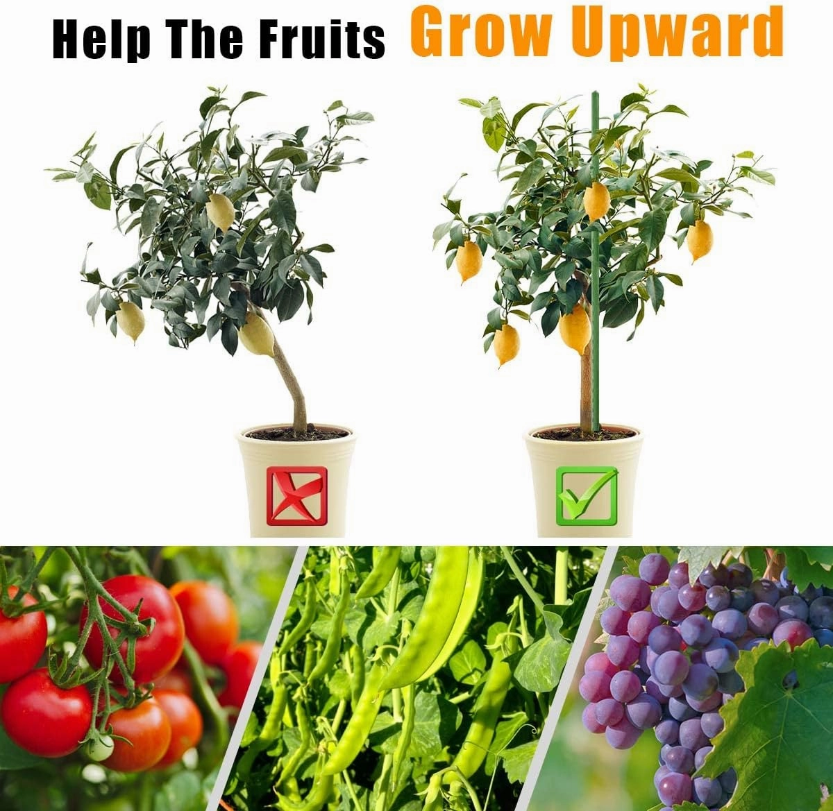 LAVEVE Garden Stakes 67 Inches Heavy Duty Steel Tomato Stake, Plastic Coated Support for Securing Trees, Climbing Plants, Cucumber, Beans, Pack of 20
