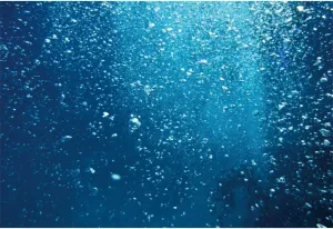 Leyiyi 10x7ft Photography Background Underwater World Backdrop Ocean Diving Seaside Holiday Summer Party Bubble Sunlight Honeymoon Travel Royal Hawaiian Luau Hula Party Photo Portrait Studio Prop