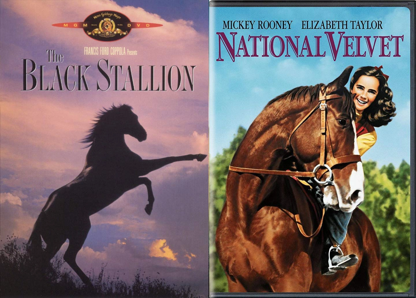 Majestic Horses Double Feature with The Black Stallion Mickey Rooney and National Velvet Elizabeth Taylor 2-DVD Classic Movie Bundle