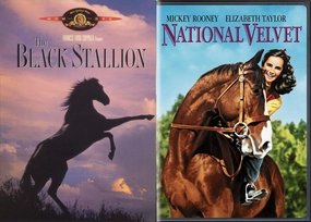 Majestic Horses Double Feature with The Black Stallion Mickey Rooney and National Velvet Elizabeth Taylor 2-DVD Classic Movie Bundle