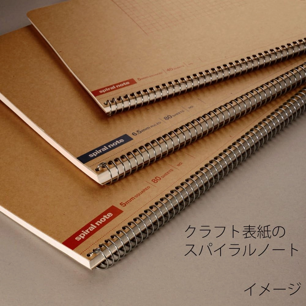 Maruman N246ES Notebook, Ring Notebook, 0.2 inch (5 mm), Square Ruled, Basic, B5, 80 Pieces, Set of 5
