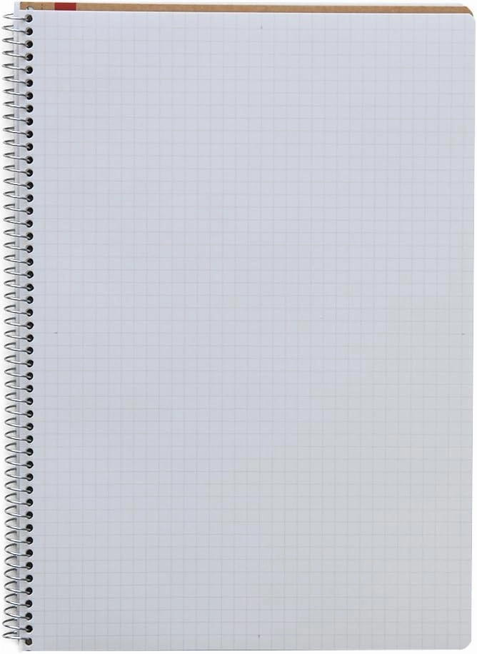Maruman N246ES Notebook, Ring Notebook, 0.2 inch (5 mm), Square Ruled, Basic, B5, 80 Pieces, Set of 5