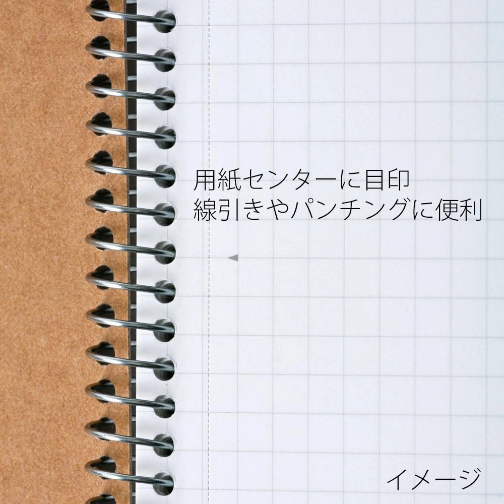 Maruman N246ES Notebook, Ring Notebook, 0.2 inch (5 mm), Square Ruled, Basic, B5, 80 Pieces, Set of 5