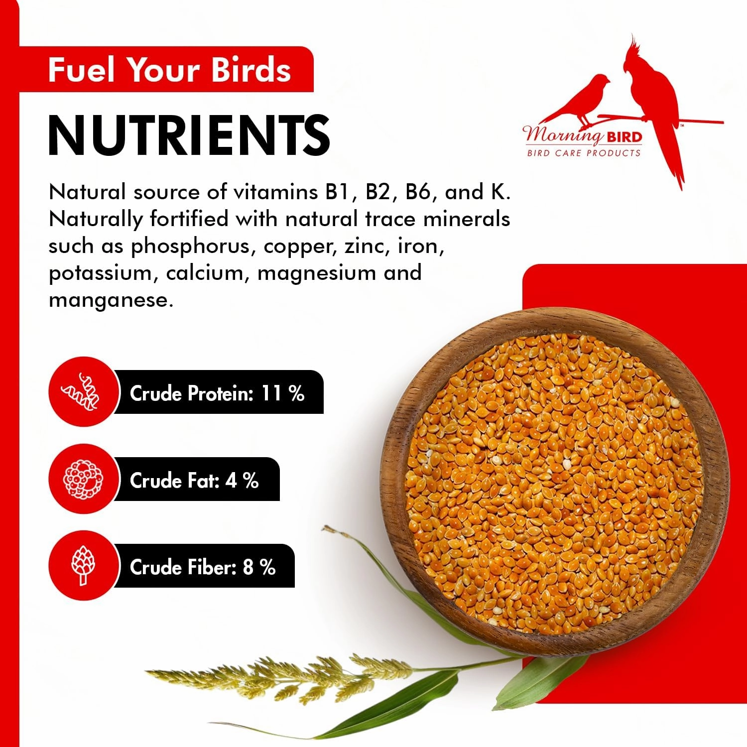 Morning Bird Red Proso Millet Bird Seed Bag 1.5 lbs – Healthy & Nutritious Pet Bird Food is Ideal for Seed Eating Birds - Parakeets, Finches, Cockatiels