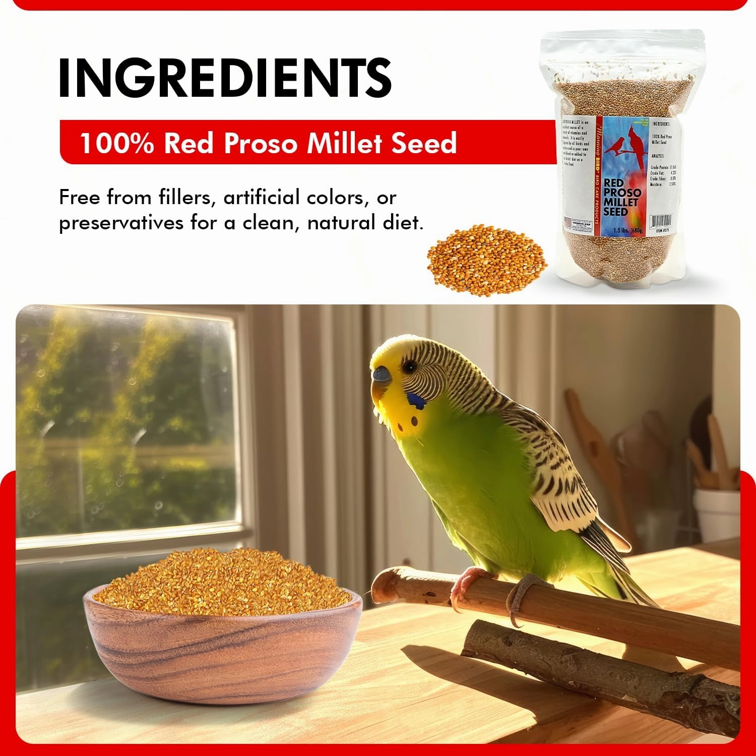 Morning Bird Red Proso Millet Bird Seed Bag 1.5 lbs – Healthy & Nutritious Pet Bird Food is Ideal for Seed Eating Birds - Parakeets, Finches, Cockatiels