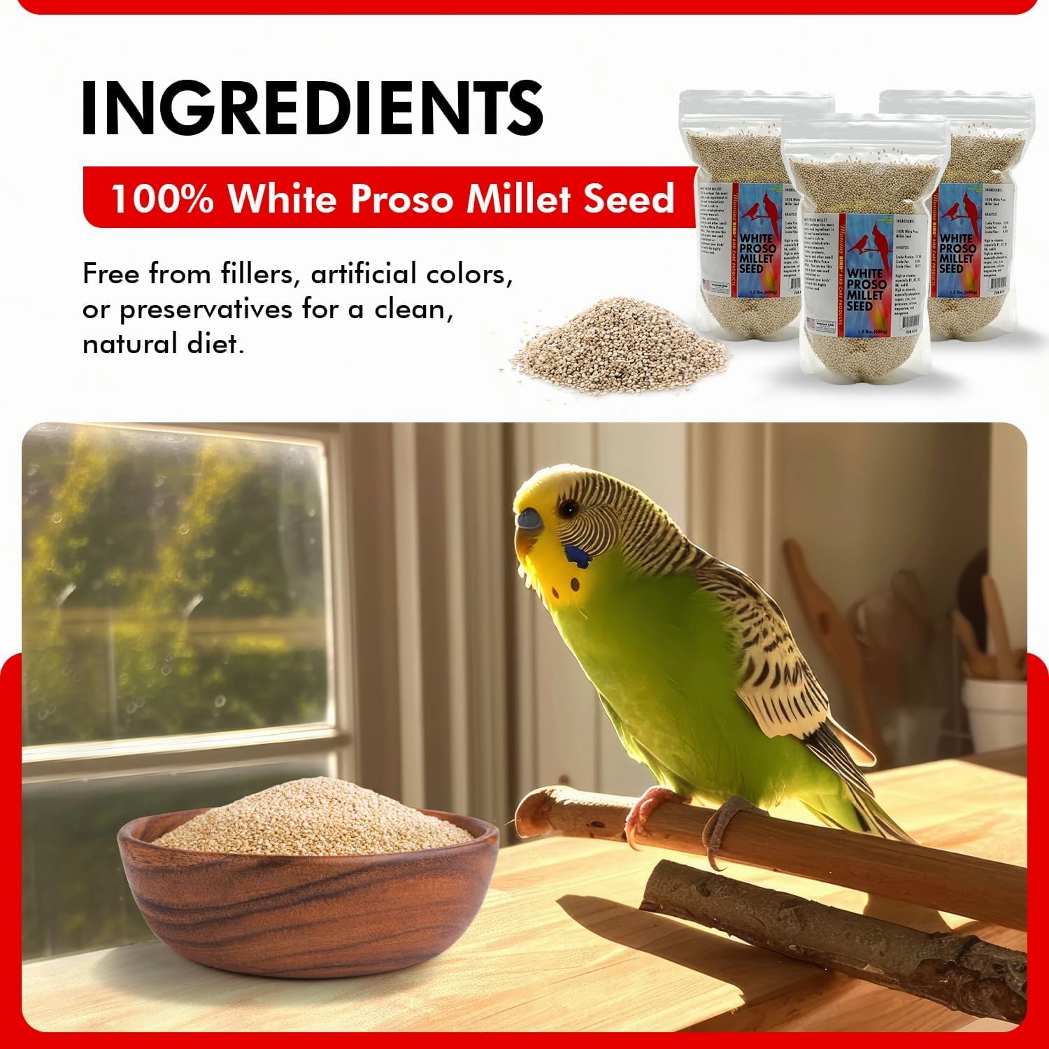 Morning Bird White Proso Millet Bird Seed Bag 4.5 lbs (3-Pack, 1.5 lbs Each) – Healthy & Nutritious Pet Bird Food is Ideal for Seed Eating Birds - Parakeets, Finches, Cockatiels
