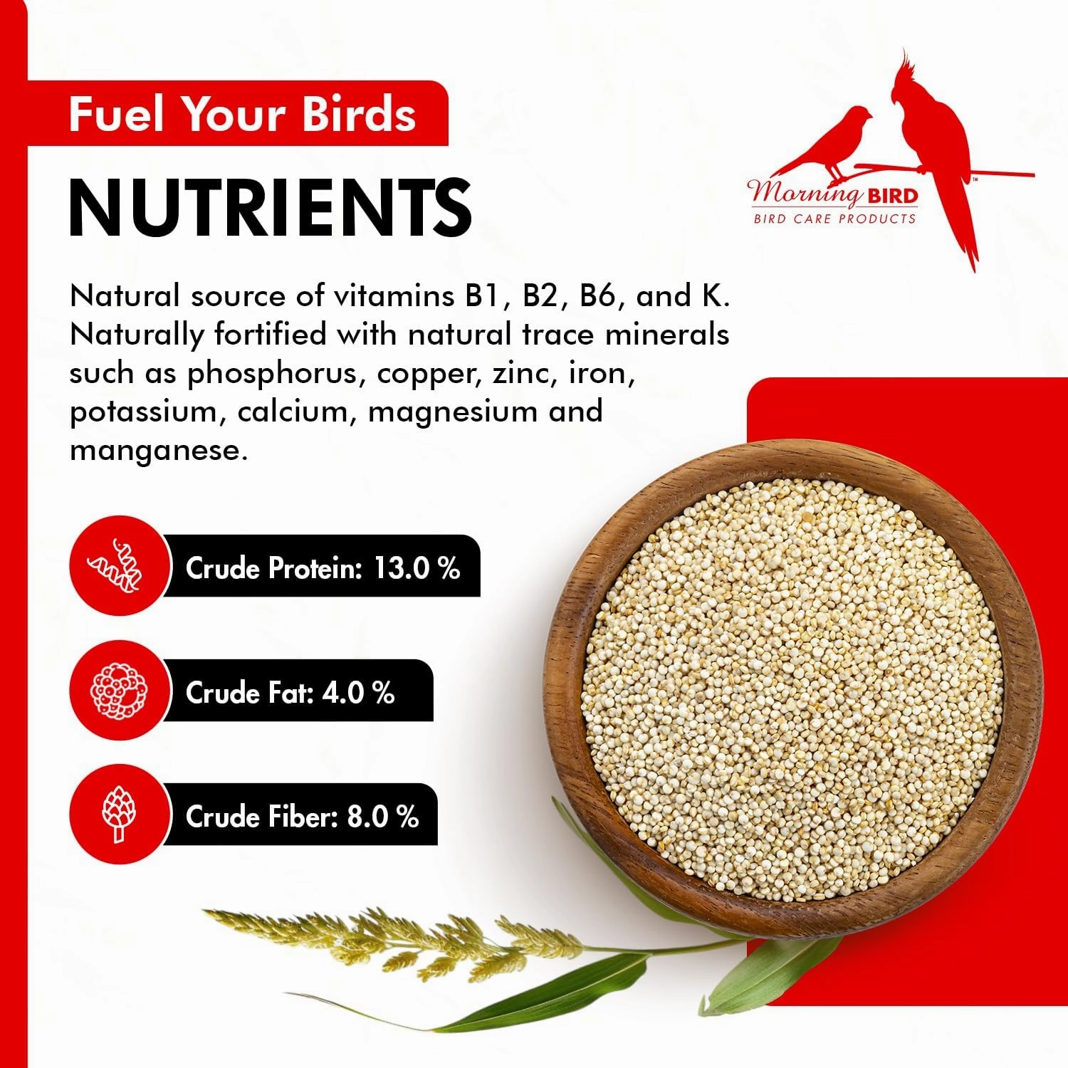 Morning Bird White Proso Millet Bird Seed Bag 4.5 lbs (3-Pack, 1.5 lbs Each) – Healthy & Nutritious Pet Bird Food is Ideal for Seed Eating Birds - Parakeets, Finches, Cockatiels