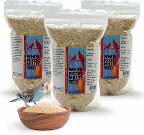Morning Bird White Proso Millet Bird Seed Bag 4.5 lbs (3-Pack, 1.5 lbs Each) – Healthy & Nutritious Pet Bird Food is Ideal for Seed Eating Birds - Parakeets, Finches, Cockatiels