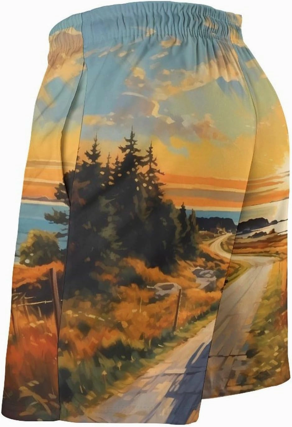 Motorcycle Rider Paintings Men's Swim Trunks Quick Dry Board Shorts Beach Shorts Bathing Suits with Pockets