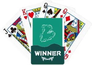Number Combination Fish Letters Winner Poker Playing Card Classic Game