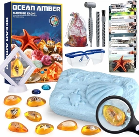 Ocean Dig Kit - 8 Specimens Excavation Kit, Gemstone for Kids, Fossil Ocean Toys Dig Kits for Amber Collection, Ocean Toys for Boys Girls and up Year Old Birthday Gifts