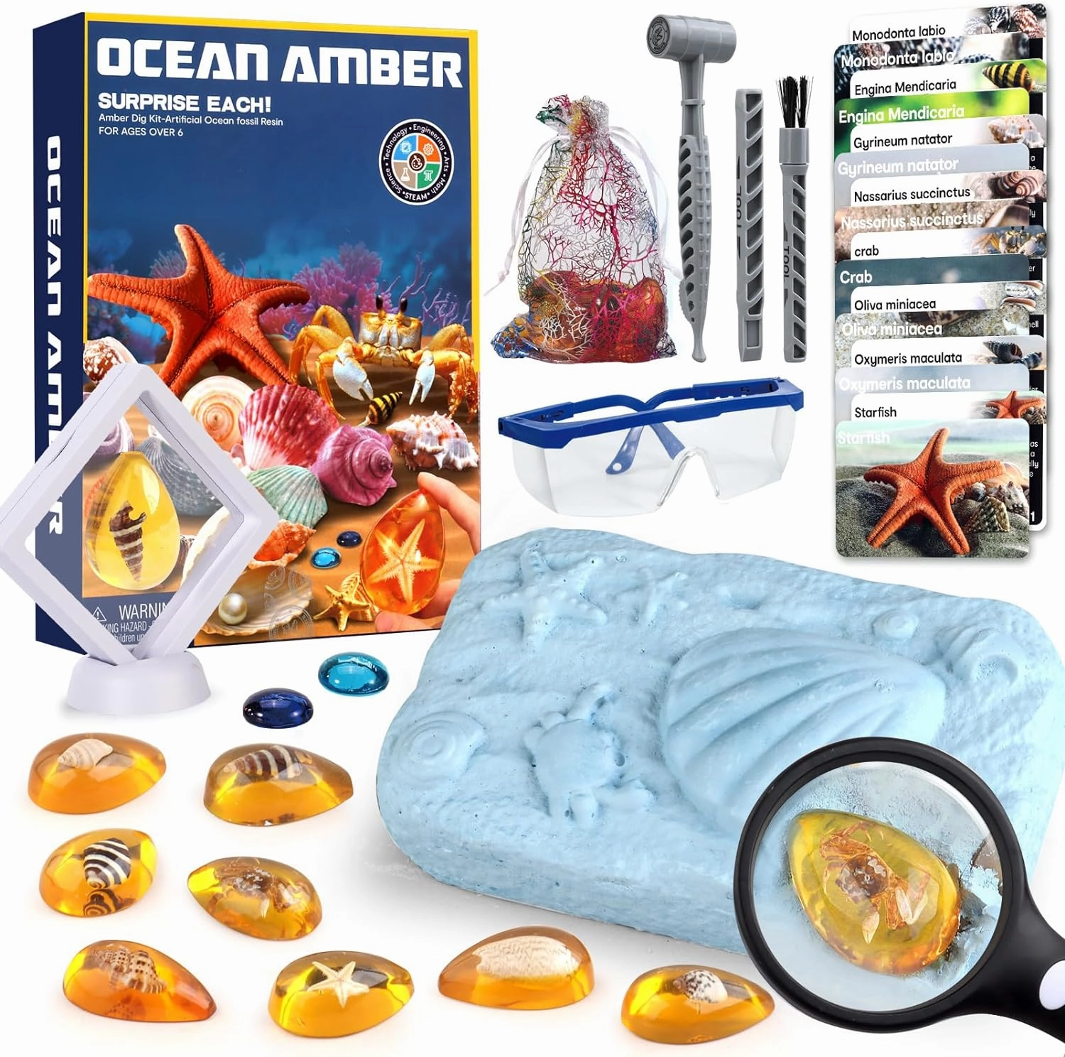 Ocean Dig Kit - 8 Specimens Excavation Kit, Gemstone for Kids, Fossil Ocean Toys Dig Kits for Amber Collection, Ocean Toys for Boys Girls and up Year Old Birthday Gifts