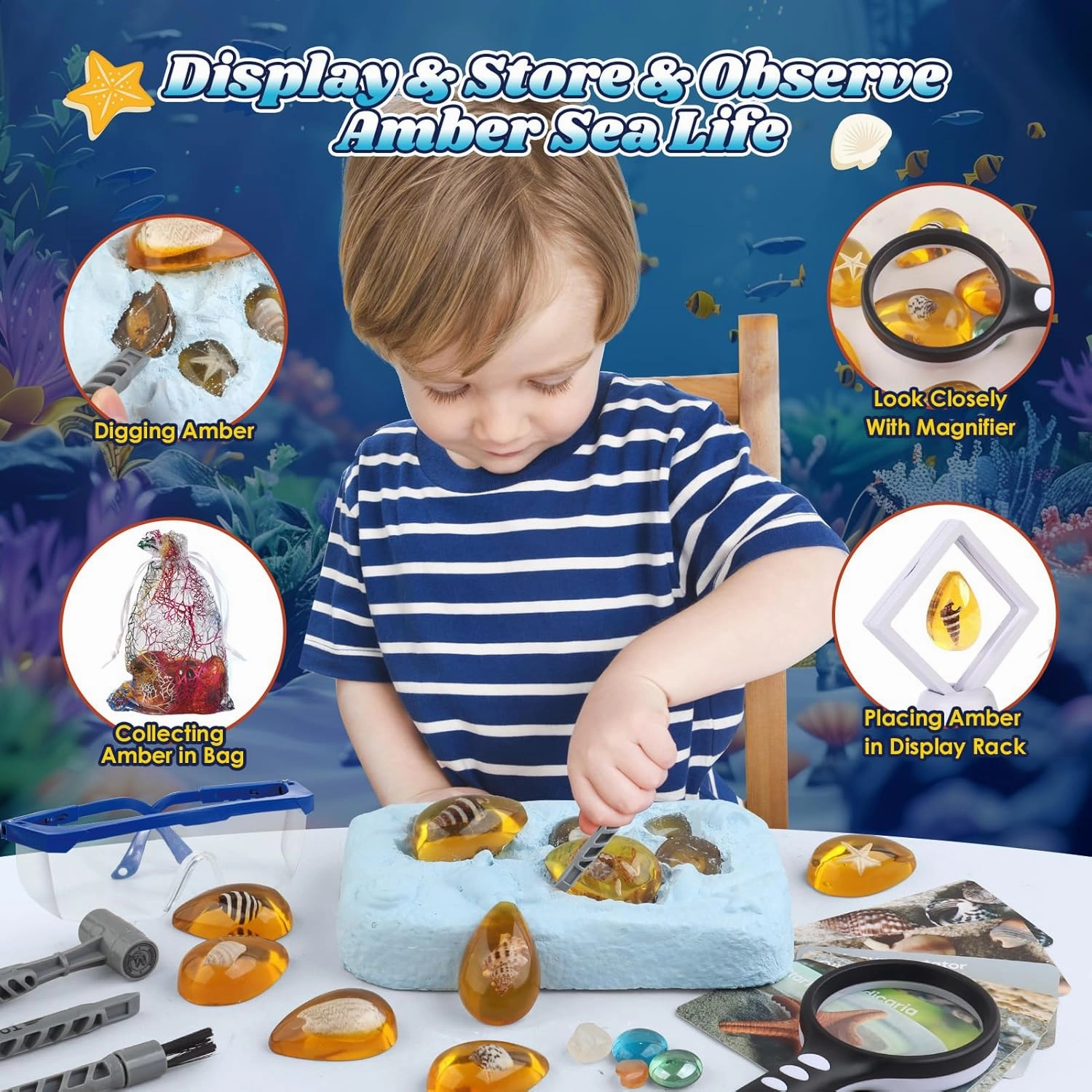 Ocean Dig Kit - 8 Specimens Excavation Kit, Gemstone for Kids, Fossil Ocean Toys Dig Kits for Amber Collection, Ocean Toys for Boys Girls and up Year Old Birthday Gifts