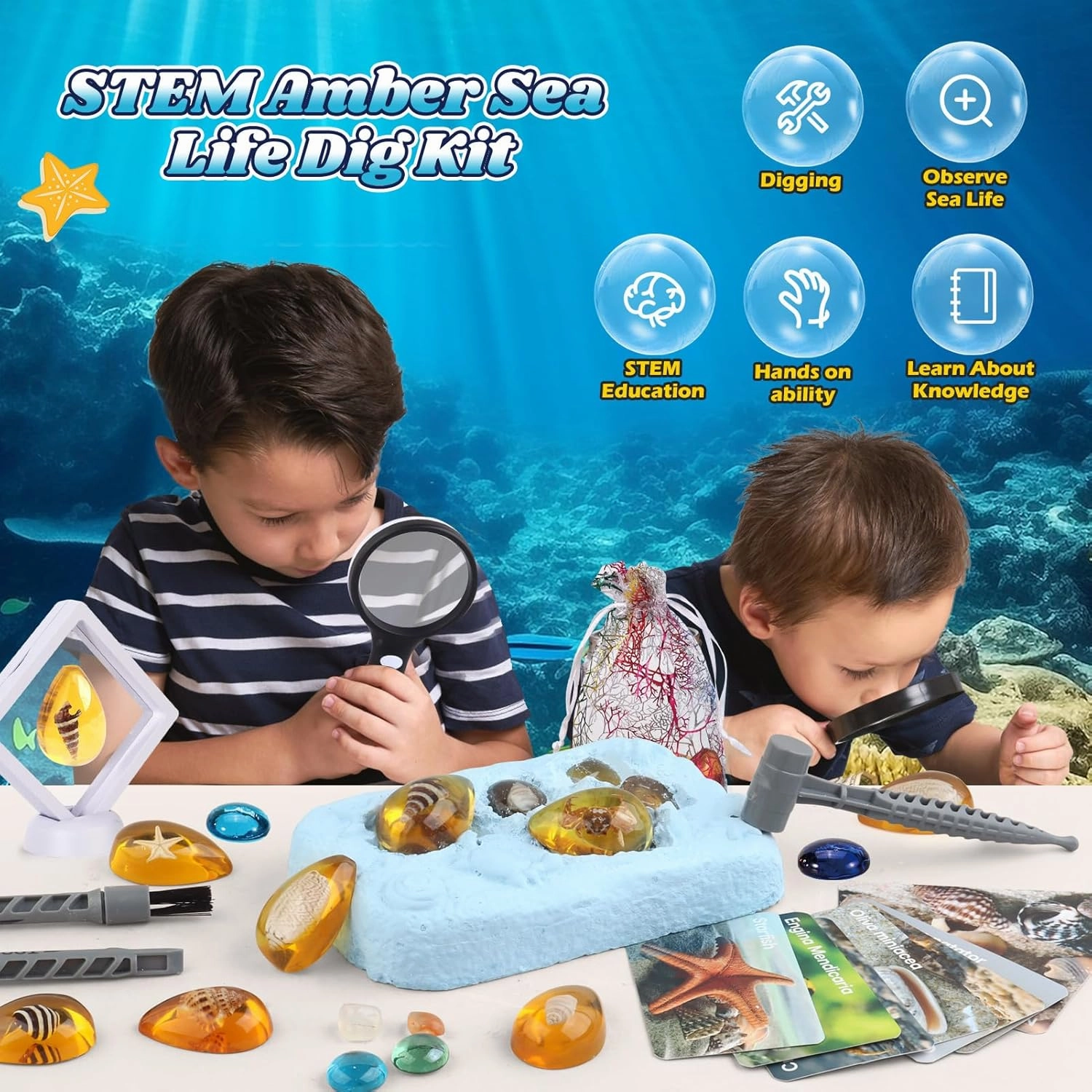 Ocean Dig Kit - 8 Specimens Excavation Kit, Gemstone for Kids, Fossil Ocean Toys Dig Kits for Amber Collection, Ocean Toys for Boys Girls and up Year Old Birthday Gifts