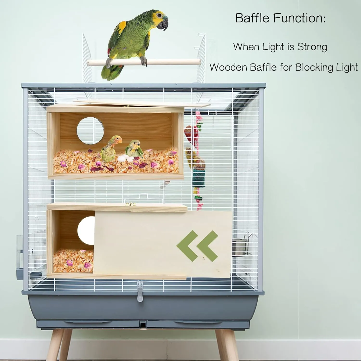 Parakeet Nesting Box Cockatiel Nesting Natural Pine Bird Nest Bird Breeding Box House Acrylic Transparent Bird Box with Detachable Wooden Board for Lovebirds Cockatiel Budgie Conure Parrot L