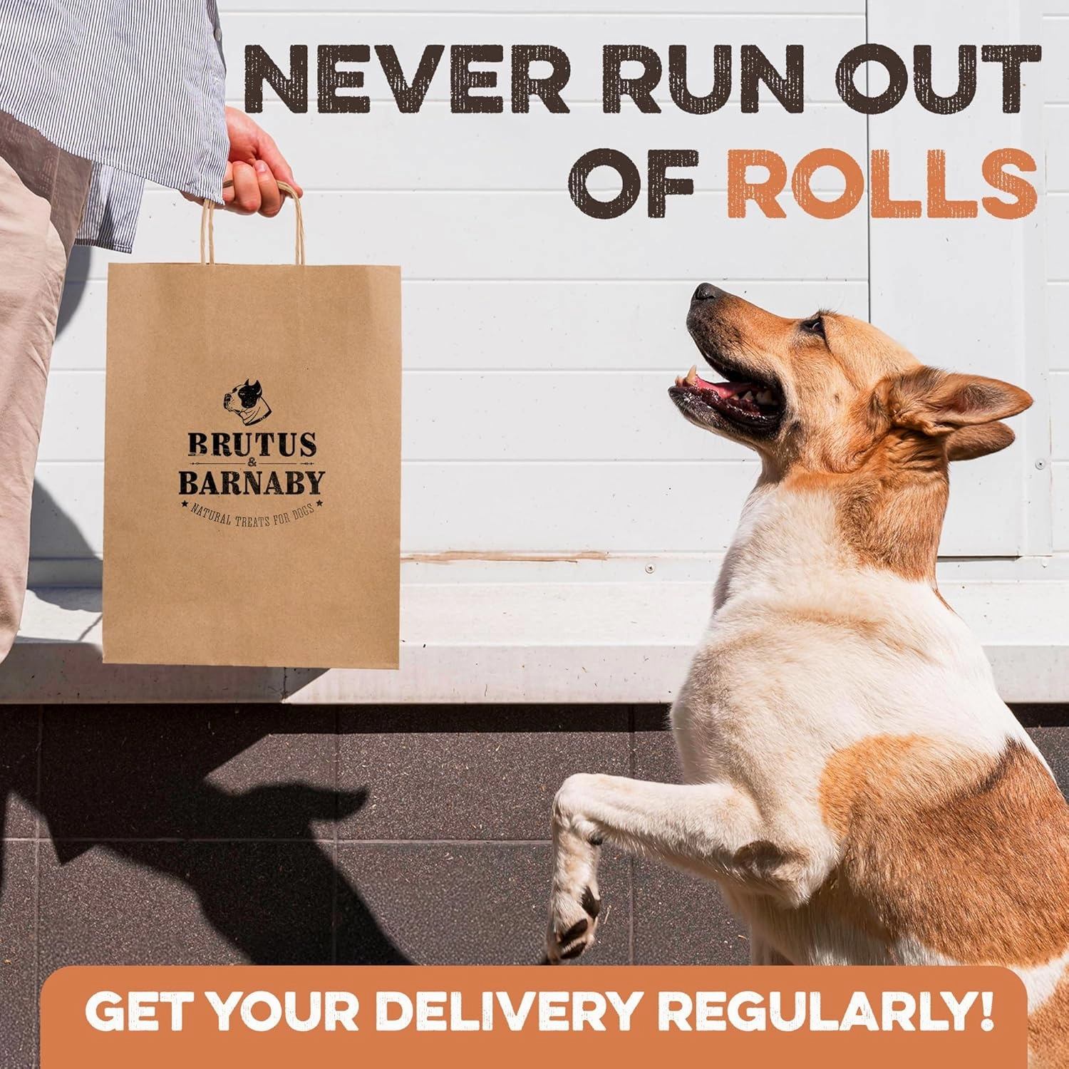 Premium Beef Cheek Rolls for Dogs 5-7" - (10-Pack), Peanut Butter Flavored Long Lasting, Safe & Natural Rawhide Alternative Chews, Ideal for Large Dogs & Aggressive Chewers, Supports Dental Health