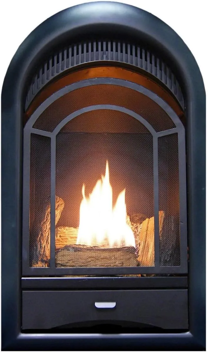 ProCom Dual Fuel Ventless Gas Fireplace Insert with Thermostat Control, 4 Fire Logs, Use with Natural Gas or Liquid Propane, 10000 BTU, Heats up to 500 Sq. Ft., Black