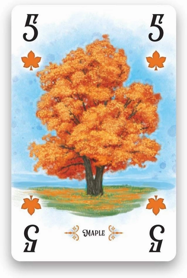 Renegade Game Studios Arboretum Strategy Card Game that Challenges 2-4 Players Aged 8 & Up to Create the Most Beautiful Garden (packaging may vary)