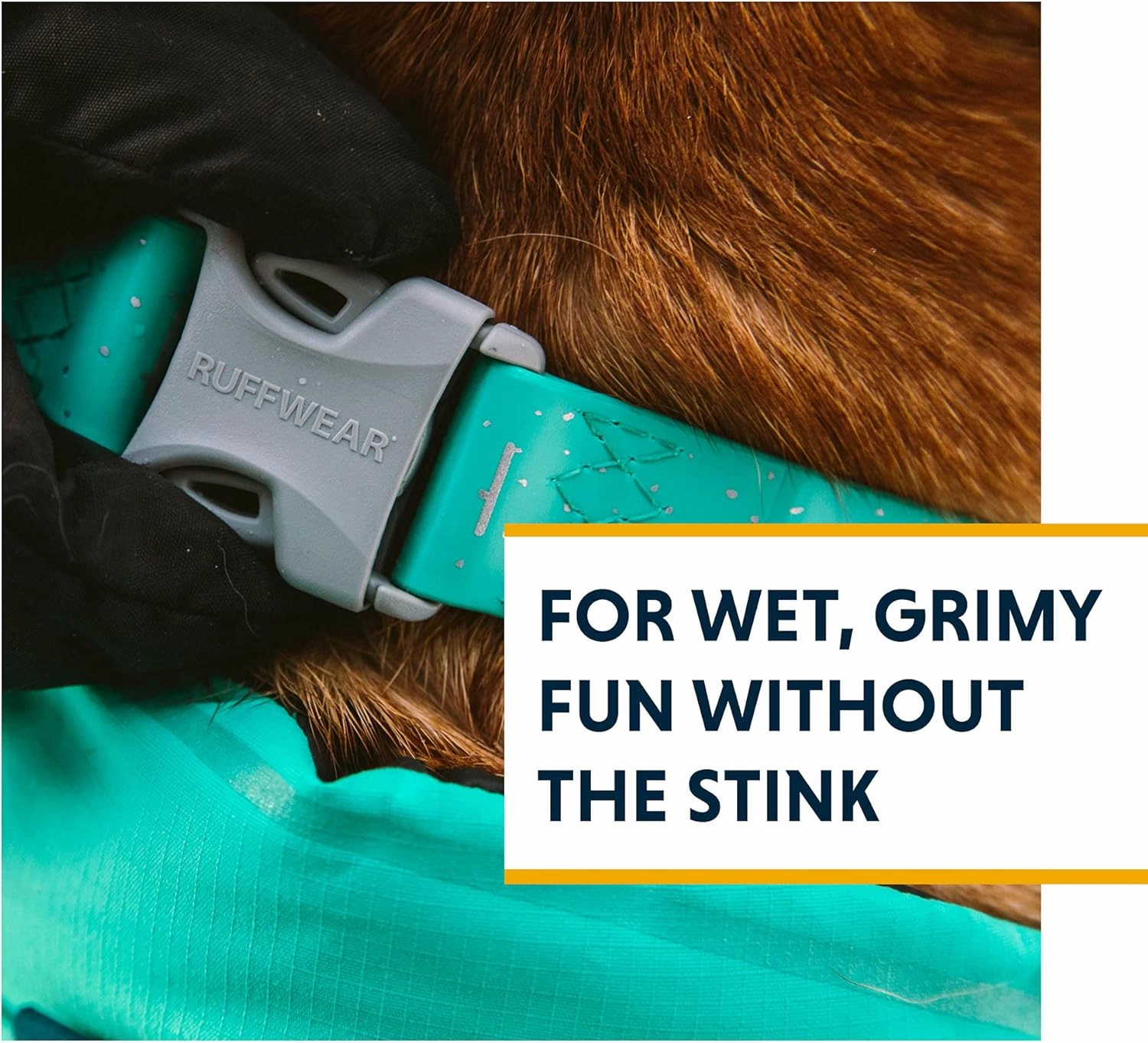 Ruffwear, Confluence Dog Collar, Waterproof and Stink Resistant, Aurora Teal, 14"-20"