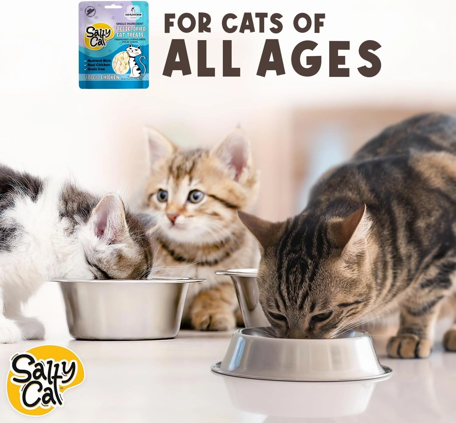 Salty Cat Freeze Dried Cat Treats - Chickecn Breast or Tuna (Pack of 12 (10g Each), Chicken)