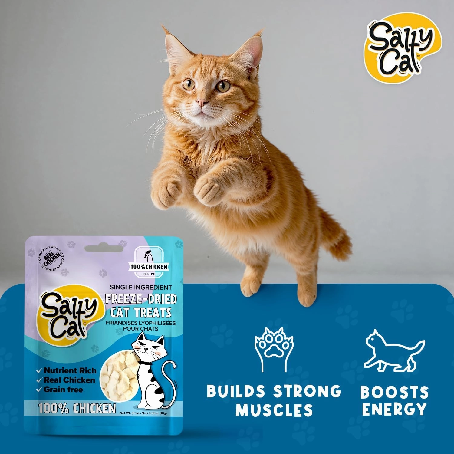 Salty Cat Freeze Dried Cat Treats - Chickecn Breast or Tuna (Pack of 12 (10g Each), Chicken)