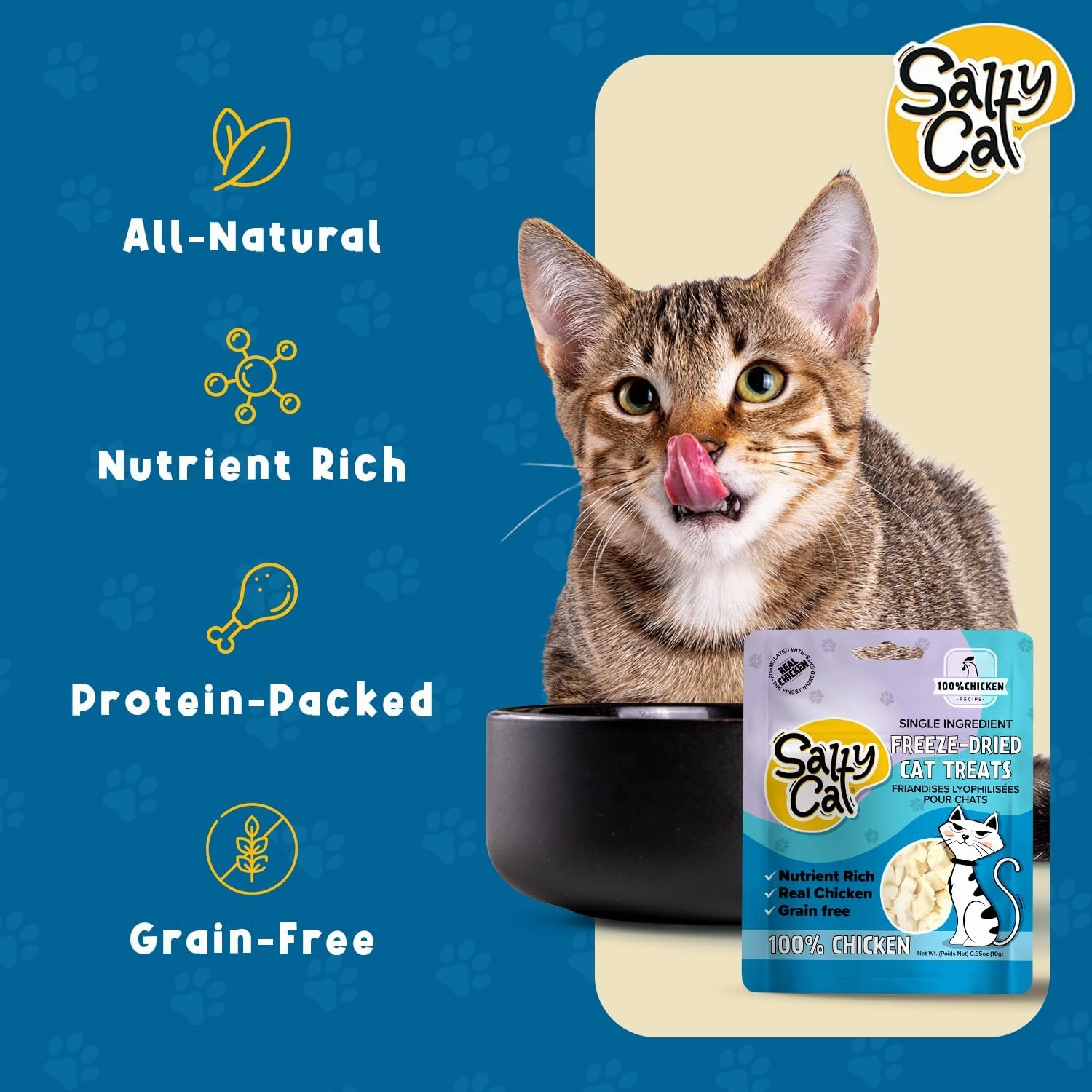 Salty Cat Freeze Dried Cat Treats - Chickecn Breast or Tuna (Pack of 12 (10g Each), Chicken)