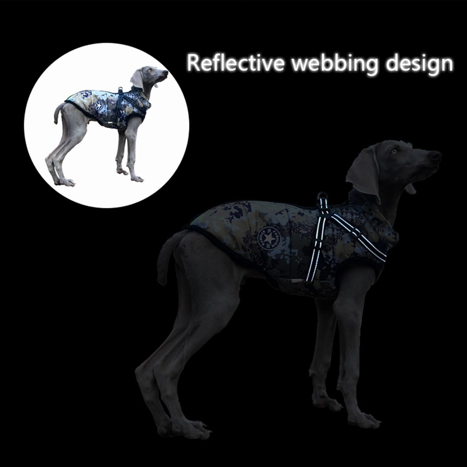 Small Dog Jacket with Harness, Outdoor Dog Sport Vest, Outdoor Warm Pet Winter Coat Harness for Cats Puppy Small Dogs, (Camo)