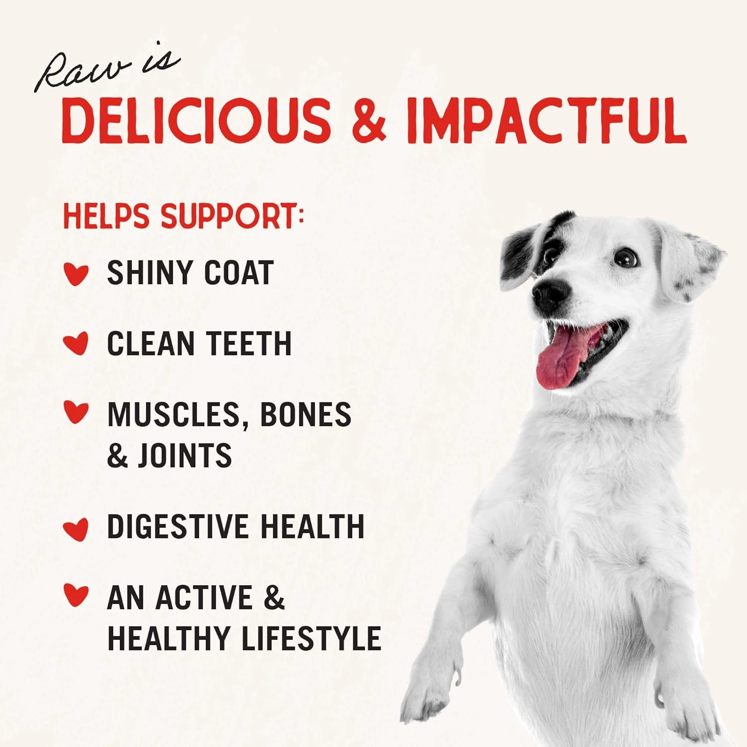 Stella & Chewy's Freeze-Dried Raw Dinner Patties - Beef Recipe - High Protein Grain-Free Puppy & Dog Food - Perfect For Picky Eaters - 25 oz
