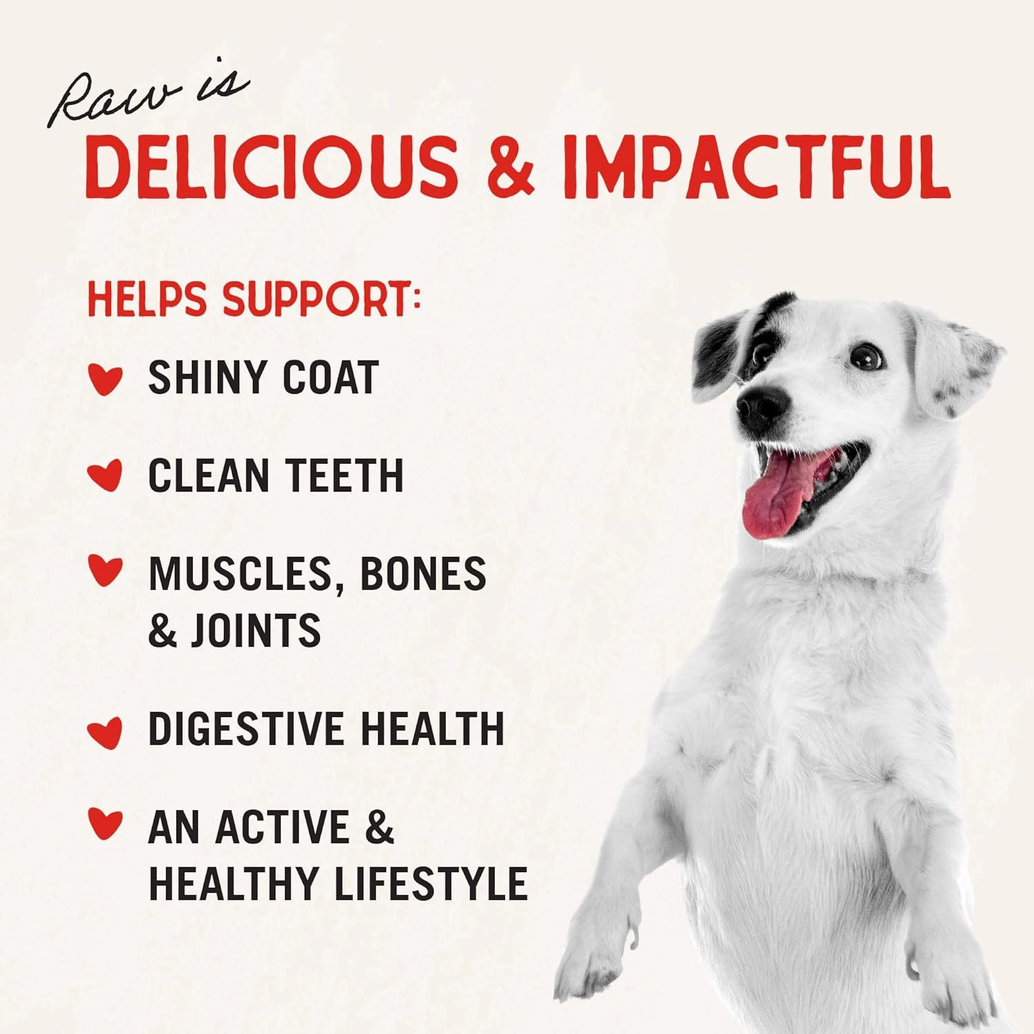 Stella & Chewy's Freeze-Dried Raw Dinner Patties - Beef Recipe - High Protein Grain-Free Puppy & Dog Food - Perfect For Picky Eaters - 25 oz