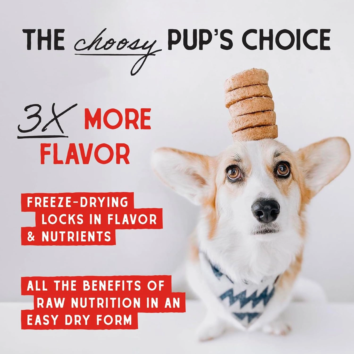 Stella & Chewy's Freeze-Dried Raw Dinner Patties - Beef Recipe - High Protein Grain-Free Puppy & Dog Food - Perfect For Picky Eaters - 25 oz