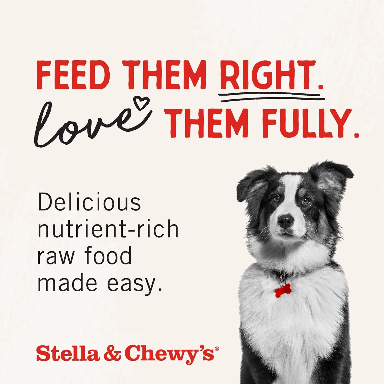 Stella & Chewy's Freeze-Dried Raw Dinner Patties - Beef Recipe - High Protein Grain-Free Puppy & Dog Food - Perfect For Picky Eaters - 25 oz