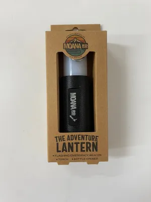 The Adventure Lantern Moana road