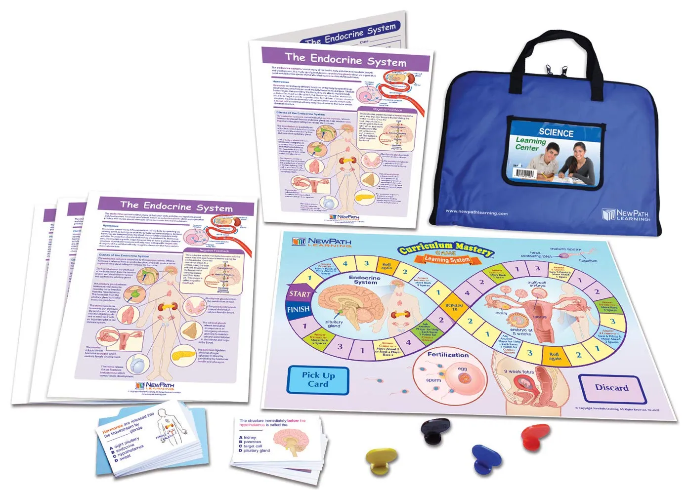 The Endocrine System Learning Center Game - Grades 6-9